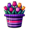 A pot of tulips