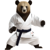 Karateka Bear