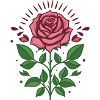 Rose Blossom