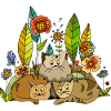 Chats