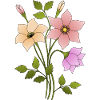 Fleur