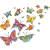 Butterflies