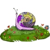 Snail