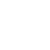 Wedding Newlyweds Leash