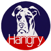 Hangry Great Dane Dog - A Hungry Dog Day Dane