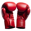 Boxing requires training and discipline