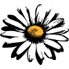 Daisy Pretty Stylized