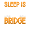 Bridge Construction and Bridge Engineer