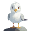 cute seagull