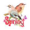 Spring