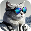 Cool cat with sunglasses