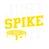 Just Spike It Roundnet Enthusiast