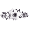 Fleurs grises.