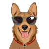 Dog with sunglasses