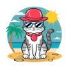 Summer cat