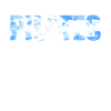 Pilates Instructor Teacher Pilates