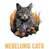 Nebelung kattunge Nebelung katt