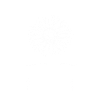Bloom where you're planted