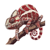 Chamelion