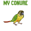 Molina Parakeet Parrot Bird Parakeet