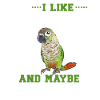 Molina Parakeet Parrot Bird Parakeet