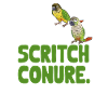 Molinasittich Papagei Vogel Sittich