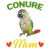 Molina Parakeet Parrot Bird Parakeet
