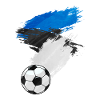 Estonia Football Flag