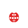 amour Coccinelle