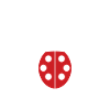 amour Coccinelle