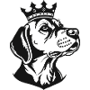 Dog with crown side