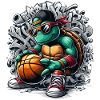 Basketball Turtle Sunglasses Graffiti