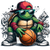 Basketball Turtle Sunglasses Graffiti