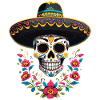 Iconic Sugar Skull Mexico Streetwear