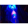 Kölner Dom