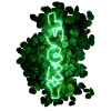 Lucky Clover