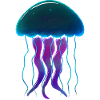 Glowing Jellyfish