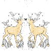 antlers, roe deer, roebuck, wildlife, red deer