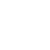 Bear Logo