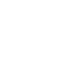 Bear Logo Stylized
