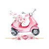 Pink Motorcycle