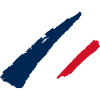 France Style Flag