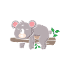 Official Koala Sleep Shirt