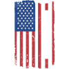 Singer Us Flag Karaoke