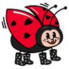 Cute Ladybug - Lady bug