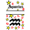 Aquarius Aquarius Zodiac Sign