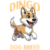 Dingo Chien Australien