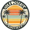 Sunset with palm trees