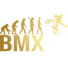 Evolution BMX