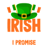 Funny Irishman Ireland Gift